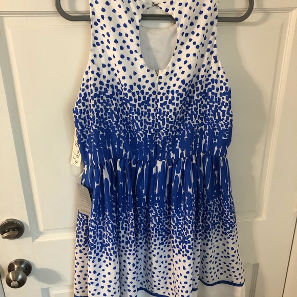 NWT Eliza J Nordstrom Santorini Blue & White Dress 14 - Picture 5 of 11